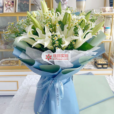 成都8支白色多头百合洋甘菊，互倾的思念