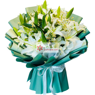 成都8支白色多头百合洋甘菊，如潮的思念